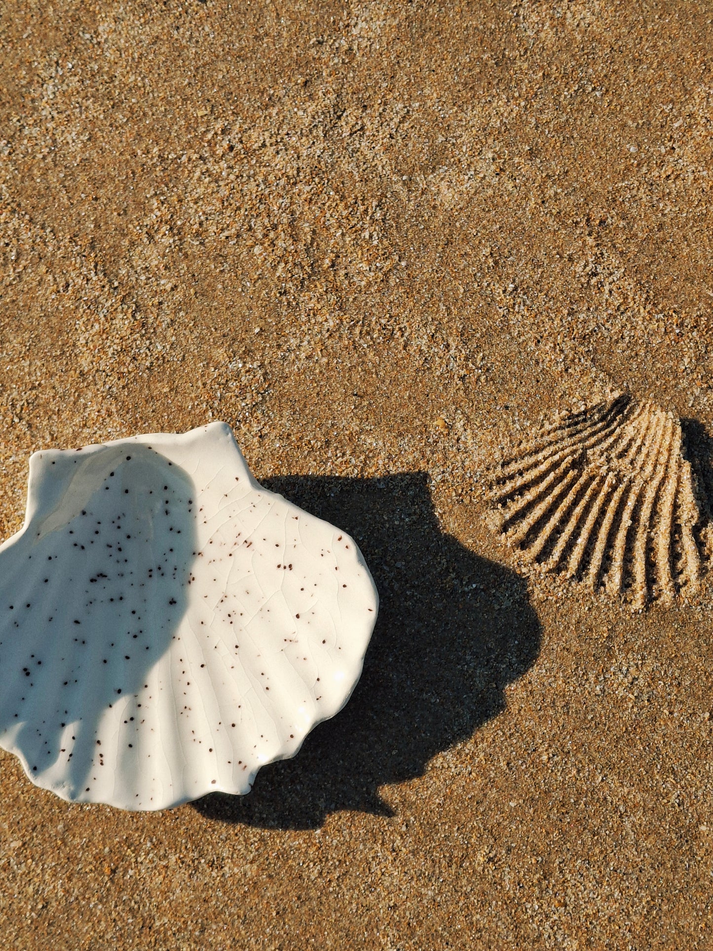 Shell Plate | Sand Collection