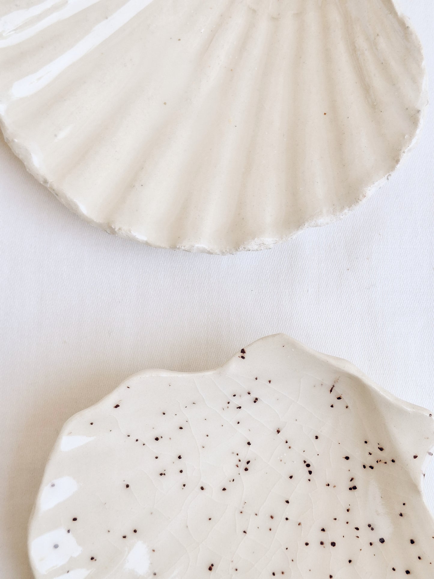 Shell Plate | Sand Collection