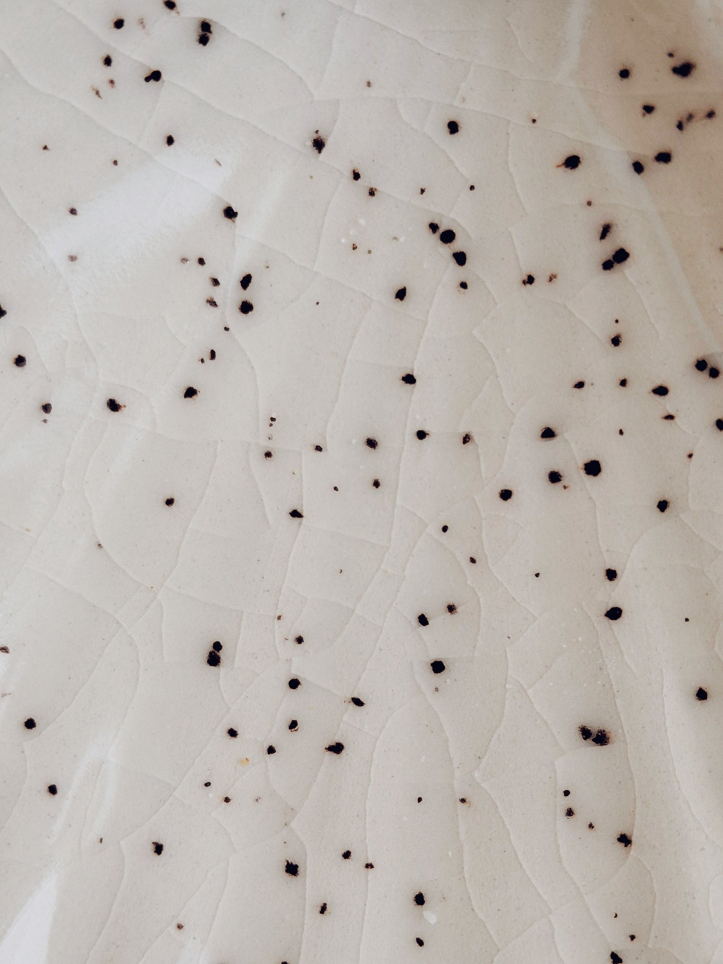 Shell Plate | Sand Collection